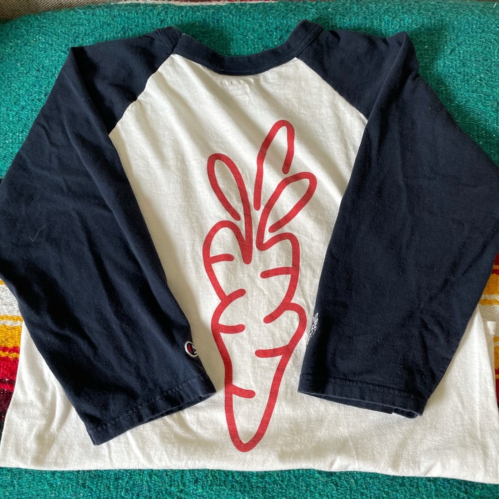 Carrots by Anwar Raglan - Picture 4 of 4